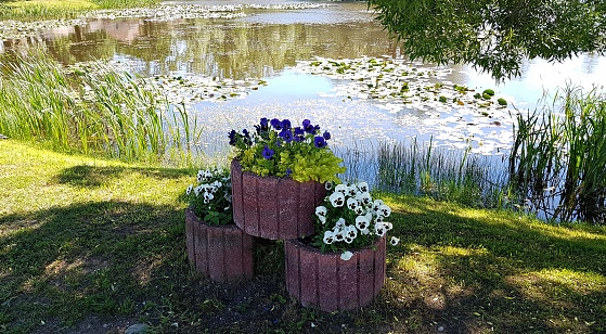 Stone beds with colorful flowers on the shore of the pond in summer.
