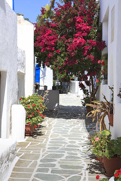 istock Greek whites house on the Cyclades 182810337