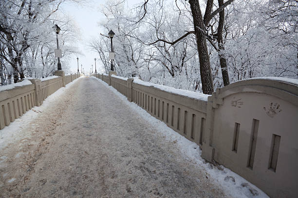 assiniboine park winnipeg - manitoba winnipeg winter bridge fotografías e imágenes de stock