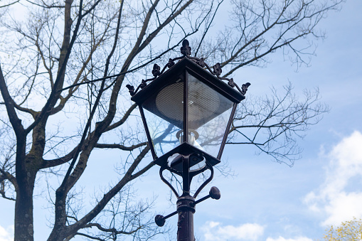 Traditional style street light in Amsterdam