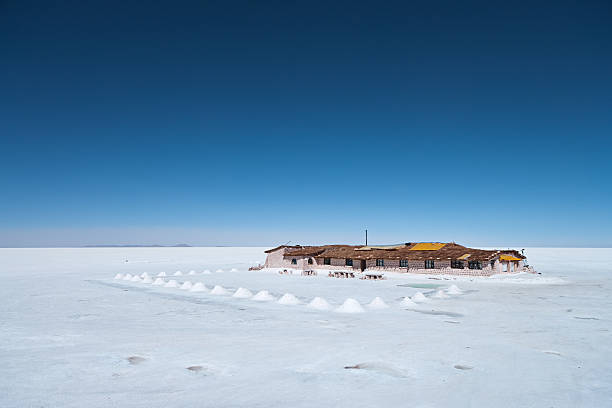 Hotel built with salt blocks cut from the Salar. Salar de Uyuni (or Salar de Tunupa) is the world's largest salt flat at 10,582 square kilometers (4,086 sq mi). It is located  in the Potosi and Oruro departments in southwest Bolivia, near the crest of the Andes, and is elevated 3,656 meters (11,995  ft) above the mean sea level. The Salar was formed as a result of transformations between several prehistoric lakes. It is  covered by a few meters of salt crust, which has an extraordinary flatness with the average altitude variations within one  meter over the entire area of the Salar. The crust serves as a source of salt and covers a pool of brine, which is  exceptionally rich in lithium. It contains 50 to 70% of the world's lithium reserves, which has yet to be extracted. The  large area, clear skies and exceptional surface flatness make the Salar an ideal object for calibrating the altimeters of the  Earth observation satellites. The Salar serves as the major transport route across the Bolivian Altiplano  and is a major  breeding ground for several species of pink flamingos.http://bem.2be.pl/IS/bolivia_380.jpg