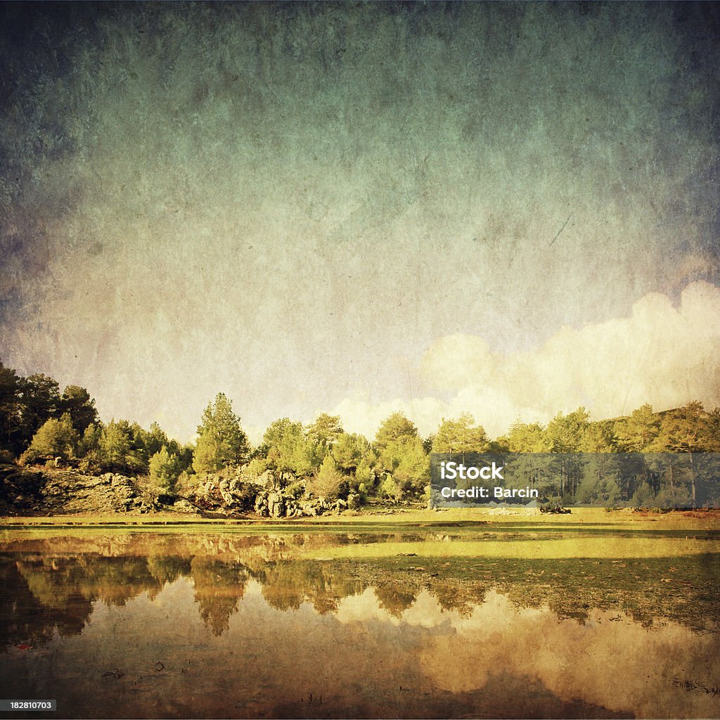 Retro estilo foto de floresta de pinheiros com o lago - Foto de stock de Estilo retrô royalty-free