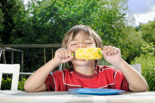 A photograph of a little boy eating corn on the cob in the garden.Please browse