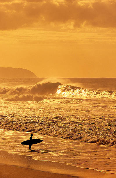 istock USA Hawaii O'ahu, North Shore. 182811699