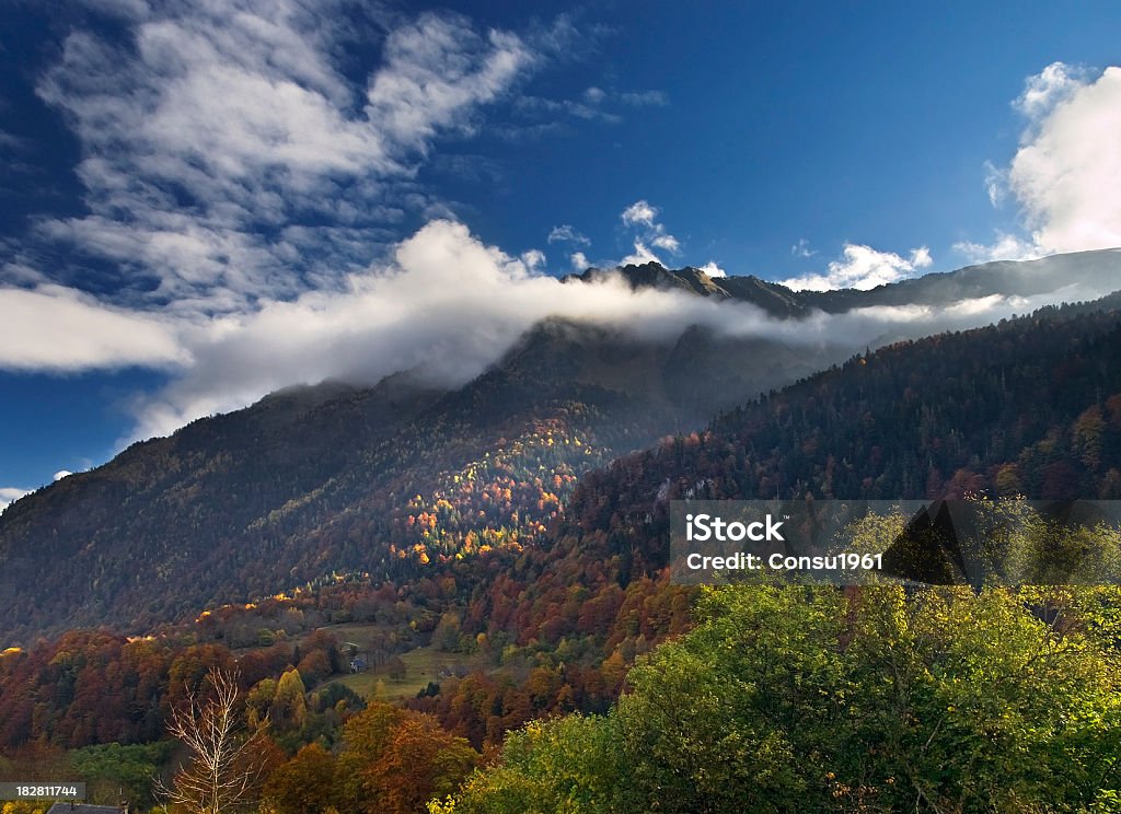 Artiga de línea - Foto de stock de Aire libre libre de derechos