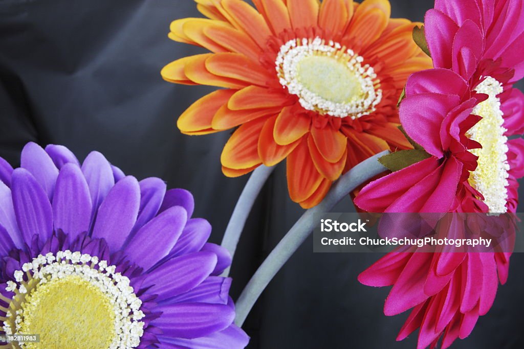 Gerbera Daisy Silk Flowers Imitation gerbera daisy silk flowers. Annual - Plant Attribute Stock Photo