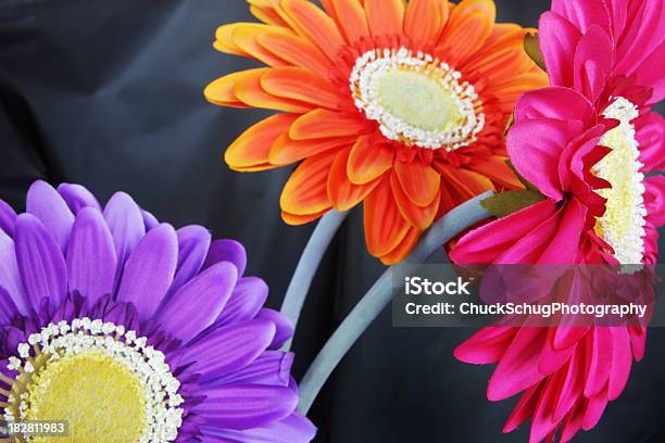 Gerbera Daisy Silk Flowers Stock Photo - Download Image Now - Annual - Plant Attribute, Arrangement, Artificial