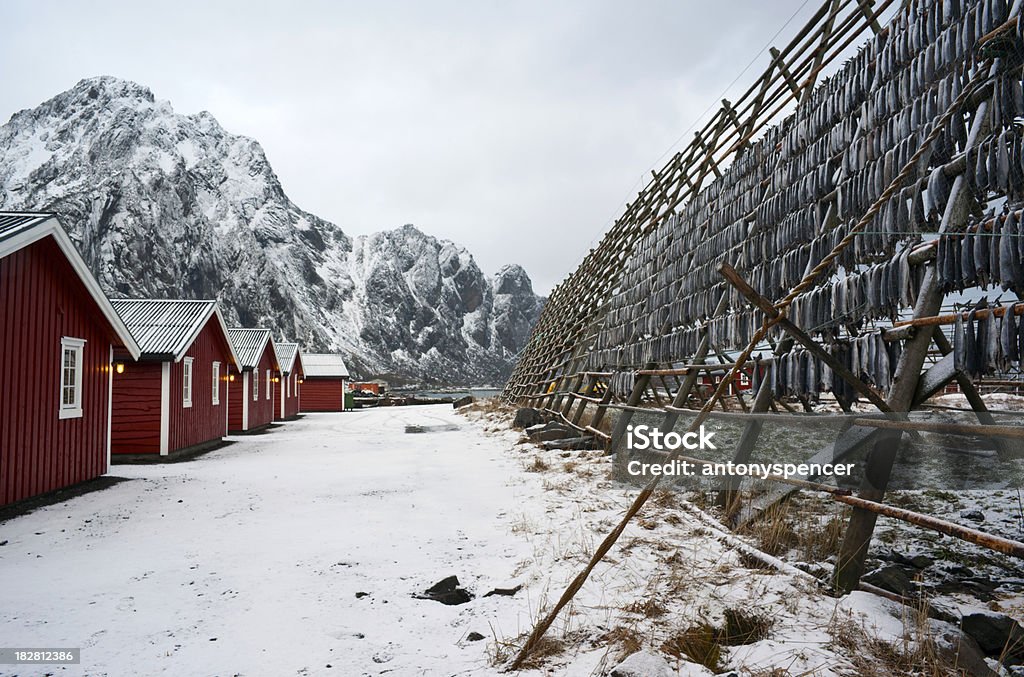 Trocknen Fisch, Lofoten Inseln - Lizenzfrei Blockhütte Stock-Foto