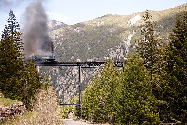 Train in mountains of Colorado. Train in the mountains and fir trees of Colorado. tressle stock pictures, royalty-free photos & images
