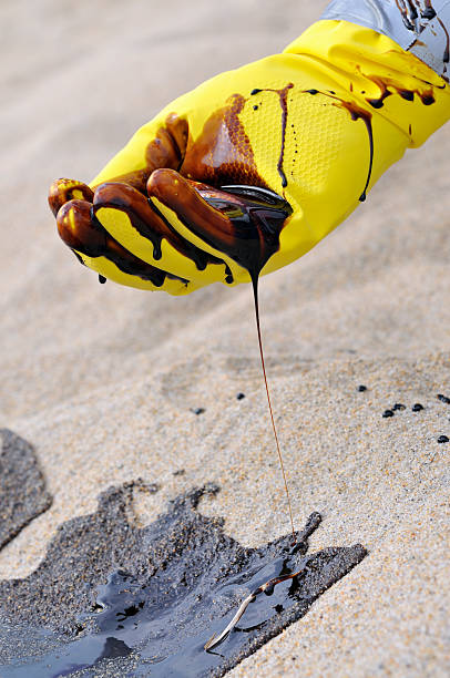 istock Oil Spill: Gloved Hand Collects Crude from Beach 182812752