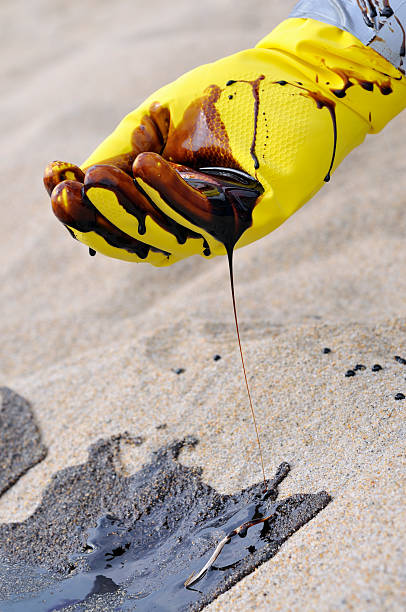 Oil Spill: Gloved Hand Collects Crude from Beach stock photo