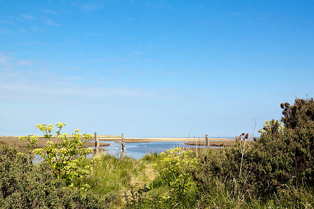 istock View of the beach at Thornham, Norfolk 182812754