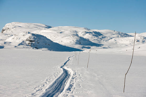 istock Cross-country ski track 182812973
