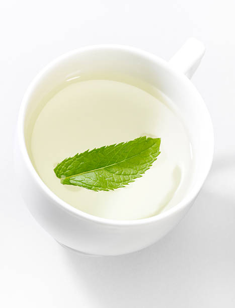 Green mint tea. stock photo