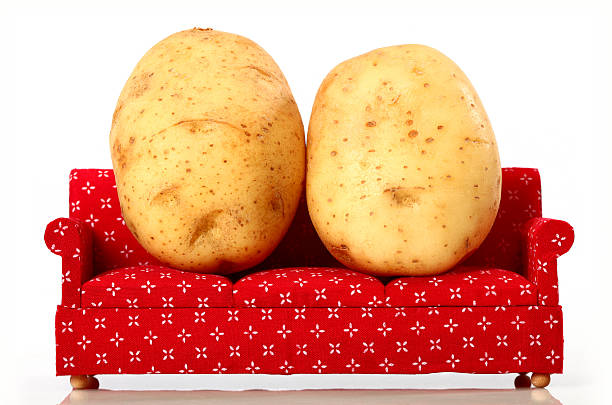 2 baking potatoes on a red couch stock photo