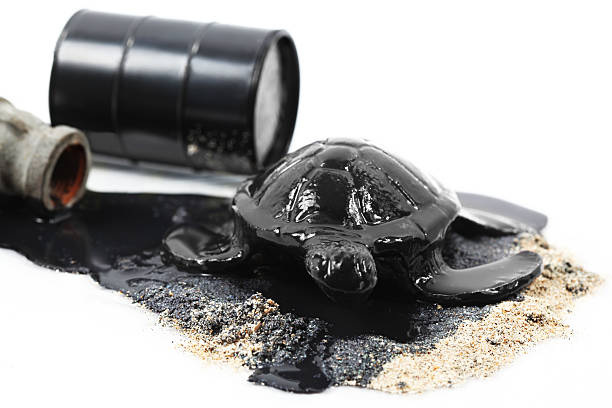 istock Oil disater 182813623