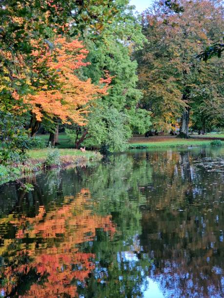 istock Trees with colored leaves (autumn, fall colors) reflected in water 1828138306