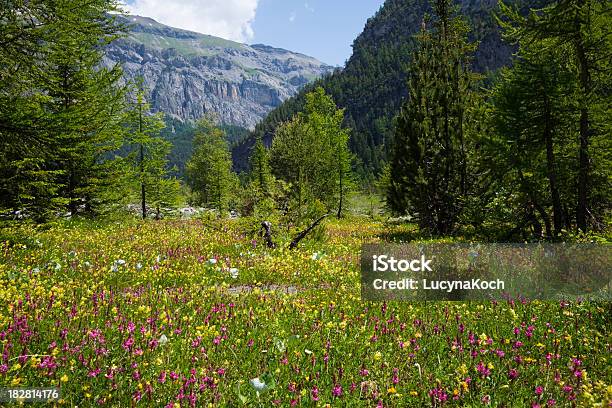 Fruehlingswiese Stockfoto und mehr Bilder von Alpen - Alpen, Baum, Berg