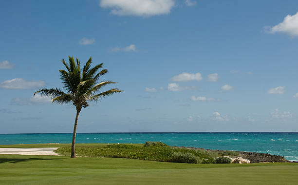 istock Tropical Golf Course With Sand, Punta Cana, Dominican Republic 182814282