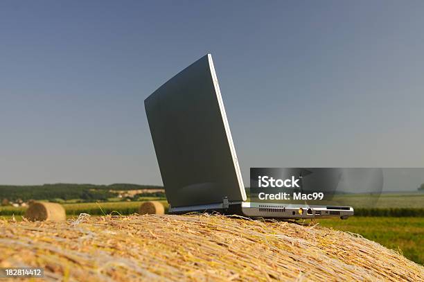 Laptop On Bale Stock Photo - Download Image Now - Accessibility, Agricultural Field, Agriculture
