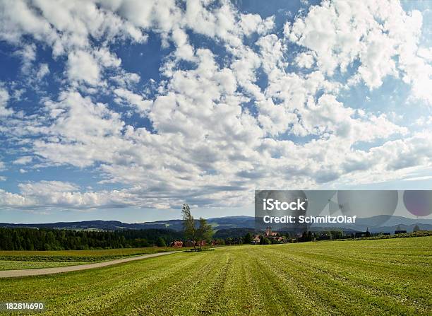 Summerday W Czarnym Lesiekrajobraz W Pobliżu Saint Märgen - zdjęcia stockowe i więcej obrazów Bez ludzi