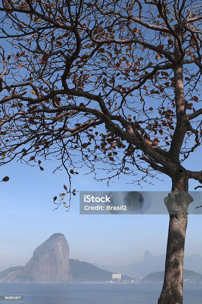 Rio de Janeiro - Lizenzfrei Ast - Pflanzenbestandteil Stock-Foto