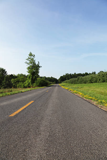 istock Sunny Rural Country Road 182815253