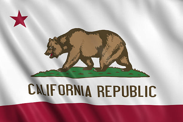 istock flag of california 182815434
