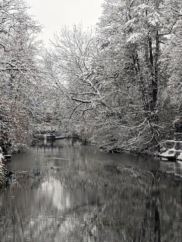 A scenic winter landscape featuring a tranquil stream surrounded by snow-covered trees in Leipzig, Germany