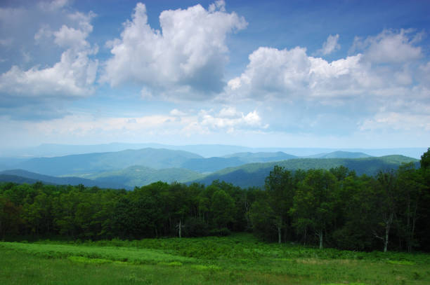 dia de primavera - treelined tree shenandoah river valley blue ridge mountains imagens e fotografias de stock