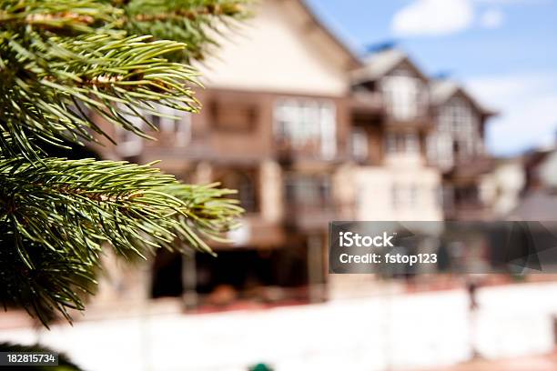 Photo libre de droit de Sapin À Proximité Des Bâtiments De Style Alpin En Arrièreplan banque d'images et plus d'images libres de droit de Arbre