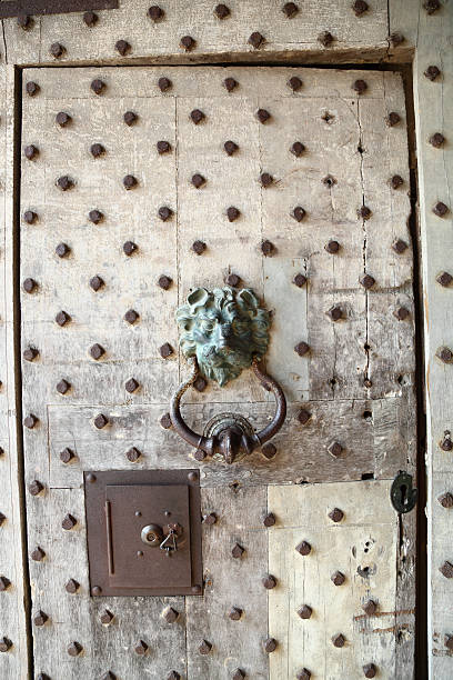 medieval wooden door with lion mask knocker