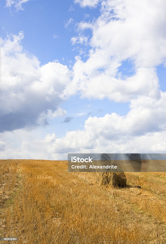 Barba de campo con olvidado almiar - Foto de stock de Agricultura libre de derechos