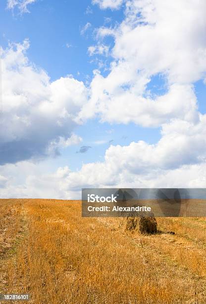 Barba De Campo Con Olvidado Almiar Foto de stock y más banco de imágenes de Agricultura - Agricultura, Aire libre, Ajardinado