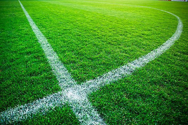 istock Grass turf on a sports field 182816126