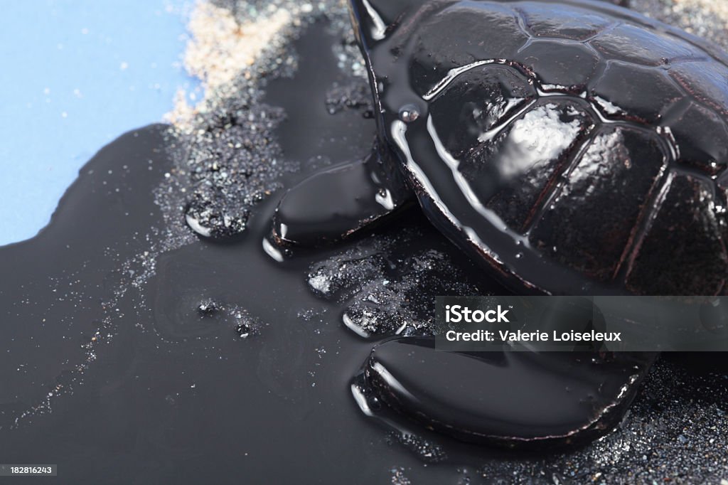 Tortue avec petroleum - Photo de Marée noire libre de droits