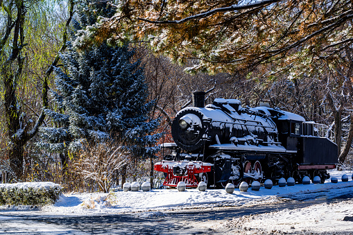 Snow scene in the forest in Nanhu Park, Changchun, China after the first snowfall