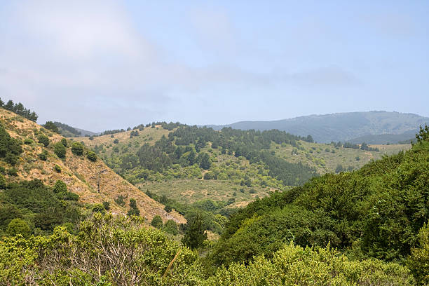 istock Marin County- California 182817373