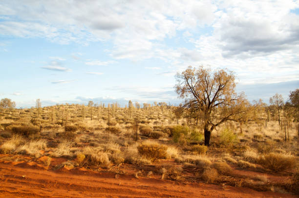 istock Beautiful Australia pictures 1828176219