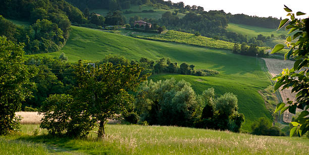 istock Country scene in tuscany 182818012