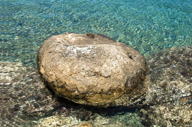 Textures of a rocky seafloor
