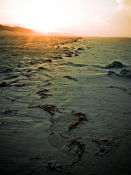 istock quiet sunrise at the beach 182818138