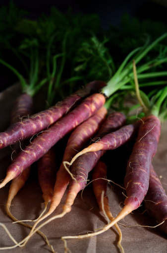 Bunch of fresh organic purple carrots from the farmer's market.  Very shallow DOF.
