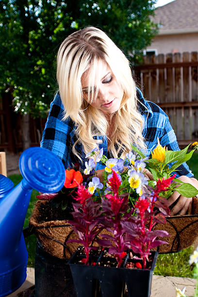 istock Woman planting flowers 182818751