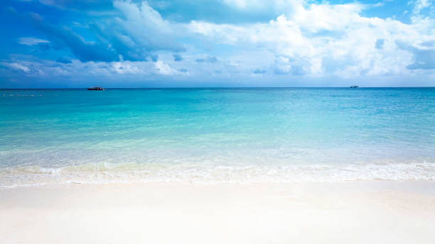 istock The tropical summer beach with  sandy beach background 1828191183