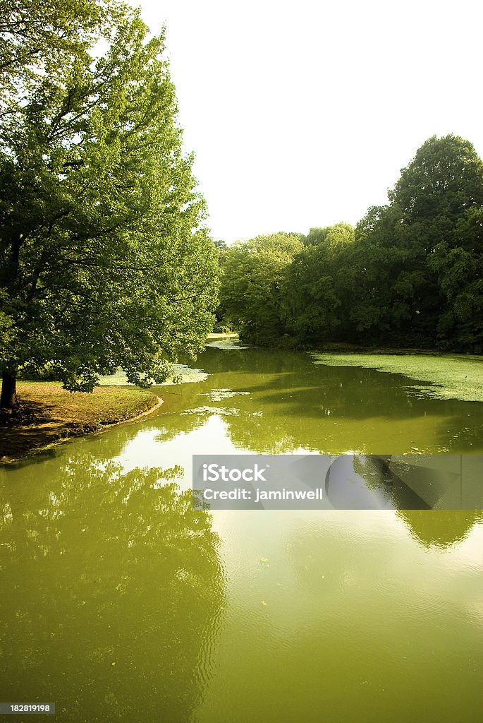 Ruhigen See green lake und Bäume-Prospect Park und den Brooklyn - Lizenzfrei Alge Stock-Foto