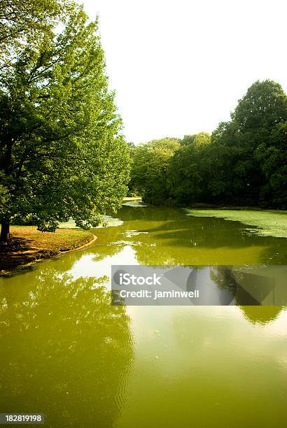 Ruhigen See Green Lake Und Bäumeprospect Park Und Den Brooklyn Stockfoto und mehr Bilder von Alge