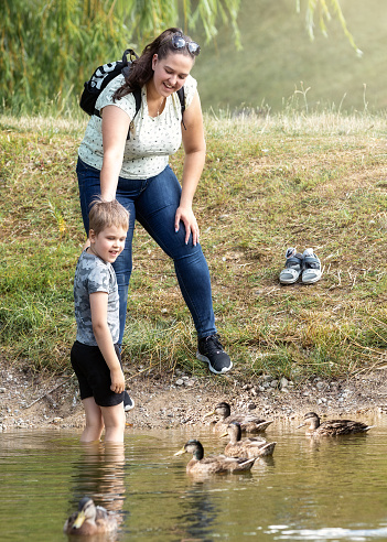 A mother with her son in nature on a sunny summer day near a pond with ducks. A cute boy is wading in the water and enjoying the little ducks swimming nearby. A child's knowledge of nature.
