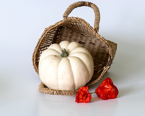still life with a white pumpkin on a white background