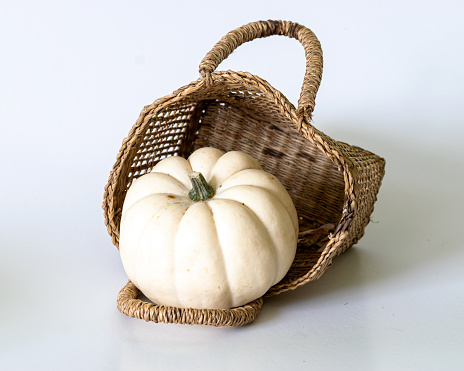 still life with a white pumpkin on a white background